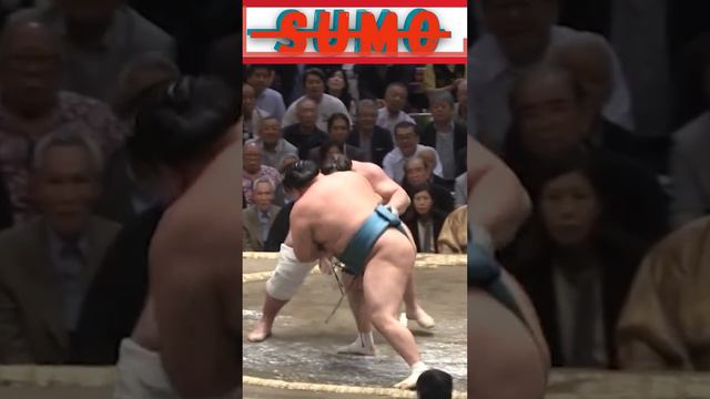 🔥Bursts of Power and Lightning Speed: Sumo Wrestlers Defies Expectations#ytshort