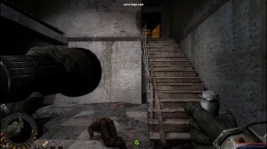 Сталкер Волей случая Все тайники Артефакты Глаз Дракона, Медальон и Серафим