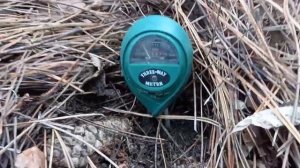 Vlog-101 Можно ли мульчтровать РОЗЫ опилками? где АЗОТ? а какой pH ?