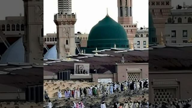 Везин Дела орцу ло ахь тхуна смотреть онлайн