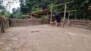 OFF GRID LIVING: How to get firewood in the forest. & firewood house