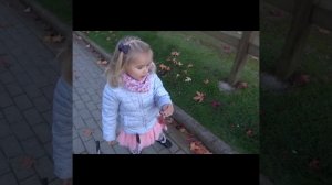 Птицы перелетные песня для детей