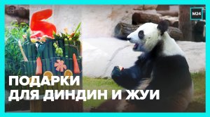 День рождения панд в Московском зоопарке - Москва 24