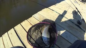 Рыбалка весной, ловля форели.