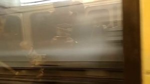 Станция Технопарк на Замоскворецкой линии на метропоезде "Номерной"