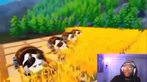 На Приколе#10