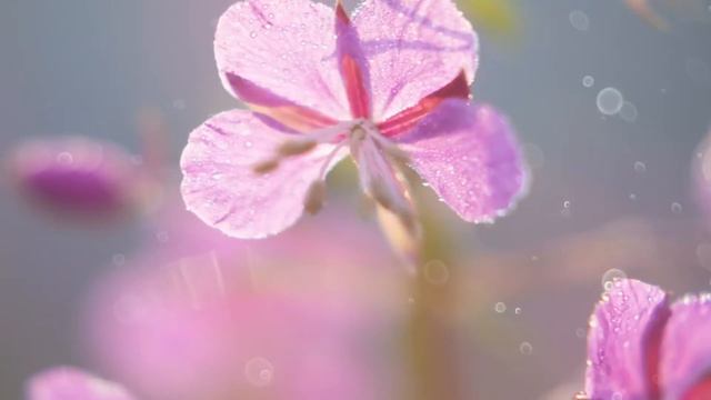 Отдохни от суеты смотреть онлайн