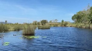 Удивительный Таиланд! Провинция Районг во всей красе!