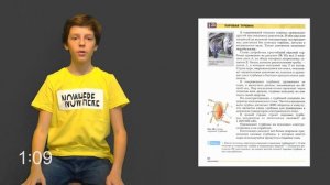 Физика 8 класс. §23 Паровая турбина