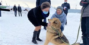 Югра берёт на себя ответственность за безнадзорных животных