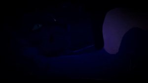 ЗАКАЗ коты воители: Кленовница и Гладкоусая / Where Die/ клип