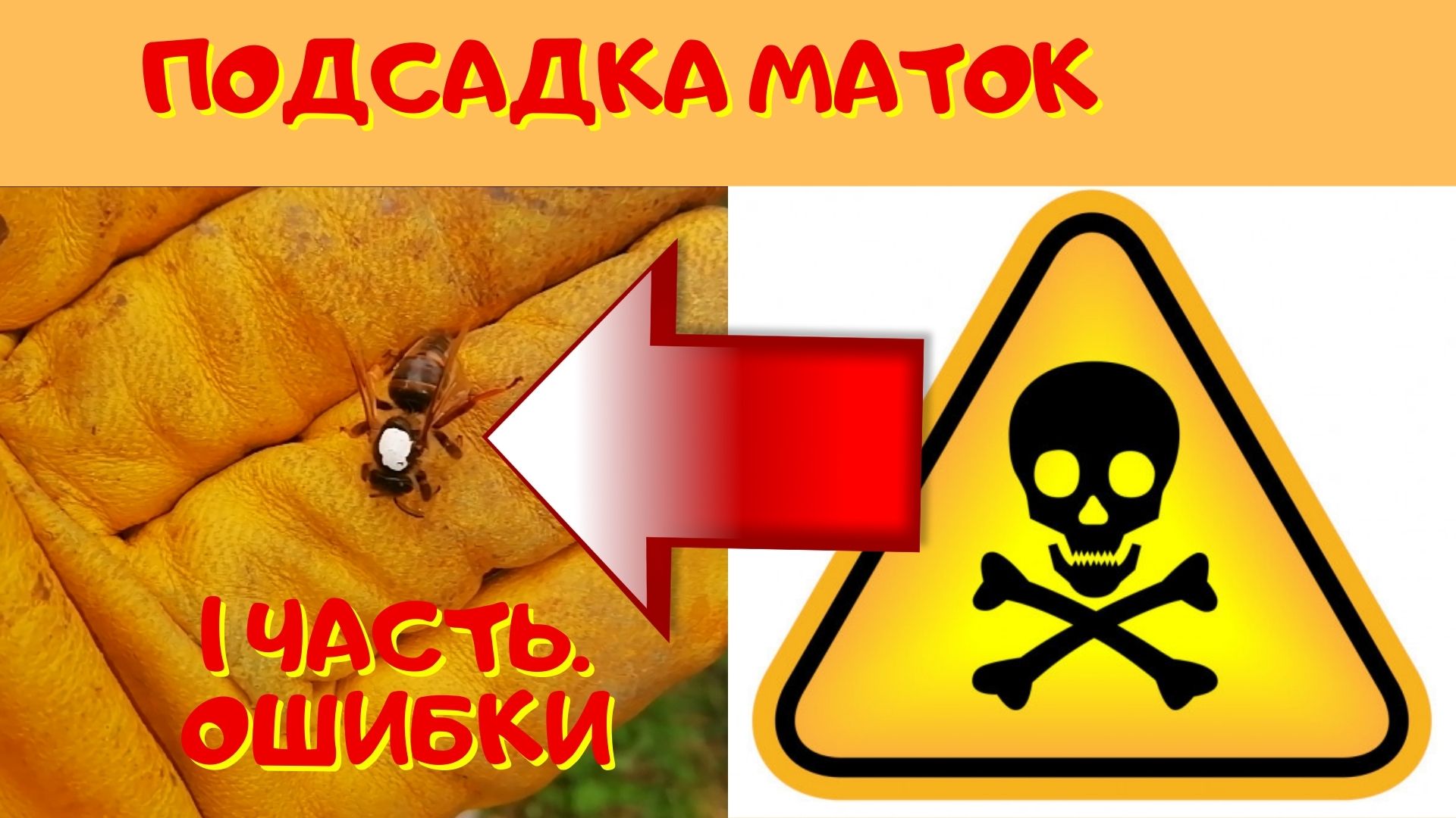 Подсадка маток в безрасплодный отводок 1 часть. - Ошибки при подсадке матки. смотреть онлайн