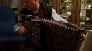 Алишин Виктор Григорьевич «Наигрыши» (Из архива)