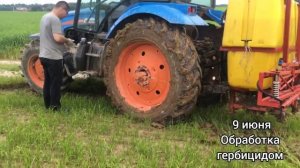 Райграс на семена / От посева до уборки и очистки