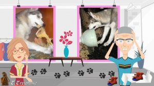 Маленький ушастый щенок. Мультанимация