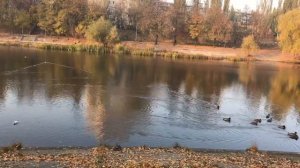 Я желаю счастья родным и друзьям/ Валерий Капризов/ релакс/очень красивая песня