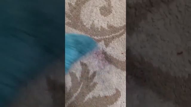 Универсальная варежка - отмыла малиновое варенье на ковре! смотреть онлайн