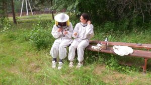 Как стать пчеловодом?