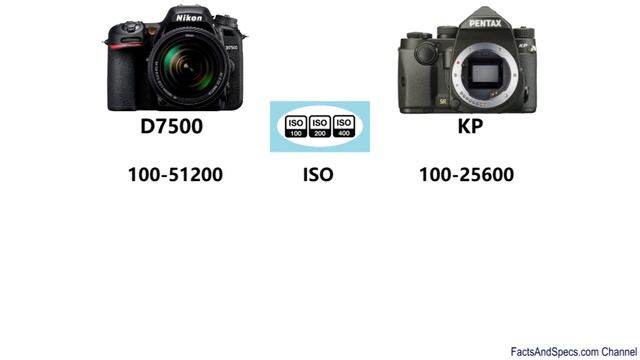 Nikon D7500 vs Pentax KP смотреть онлайн