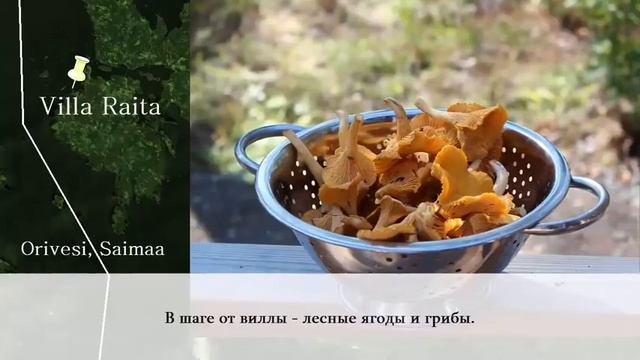 Дачи в Финляндии / Вилла Райта класса Люкс на частном острове на о.Саймаа смотреть онлайн