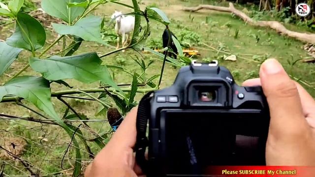 Canon 200d mark ii Camera with 18-55 kid lens ? Background blur Setting! Photo kaise blur kare смотреть онлайн