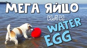 А ВЫ ЗНАЕТЕ что яйцом для собак MEGA EGG/JOLLY EGG можно играть в воде? ЛАЙФХАК по использованию яйц