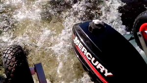 Меркури 2.5 + Динго 29F