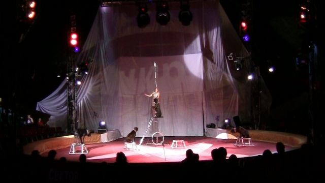 АМАЗОНКА 2016 смотреть онлайн