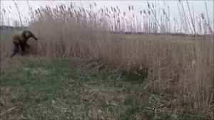Как выжить на своей земле в деревне, сбежав из матричного города