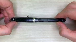 Перьевая ручка Pilot Custom 74