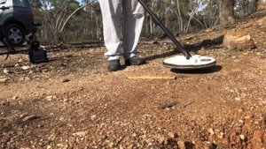 Minelab GPZ 7000/Upgraded GPX 4500 Comparisons