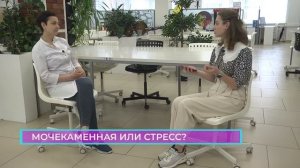 Кошачья логика. Порода селкирк-рекс. Мочекаменная болезнь у котов.