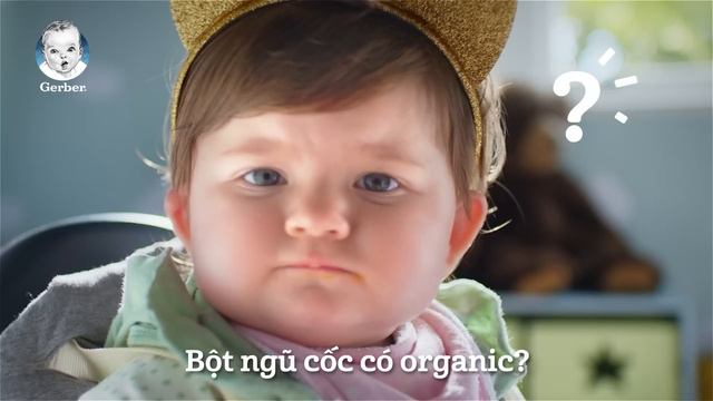 BỘT GERBER ORGANIC LÚA MÌ YẾN MẠCH - KHÔNG CHỈ ORGANIC, ĐÓ LÀ GERBER ORGANIC смотреть онлайн