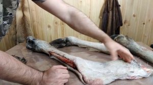Охота. Обдирка камуса ножом СибиРЫч