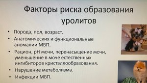МКБ. Мочекаменная.