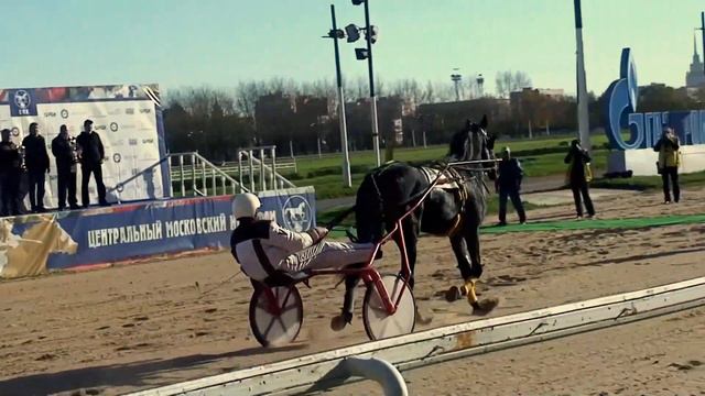 ЦМИ.Ипподром.Сезон 2013.В.Петров.И.Михайлович