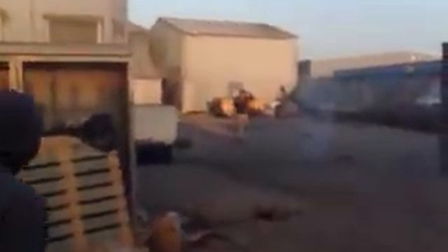 brave,coward,hero balls of steel смотреть онлайн