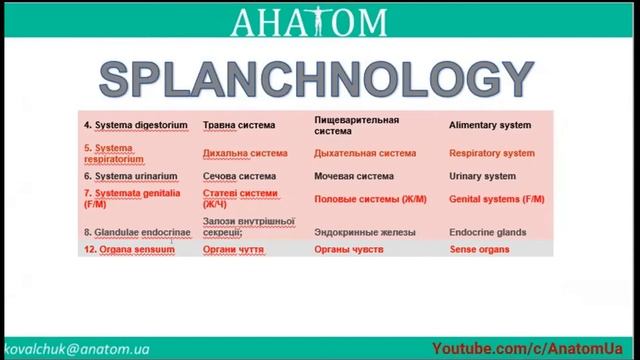 СИСТЕМНА АНАТОМІЯ ЛЮДИНИ