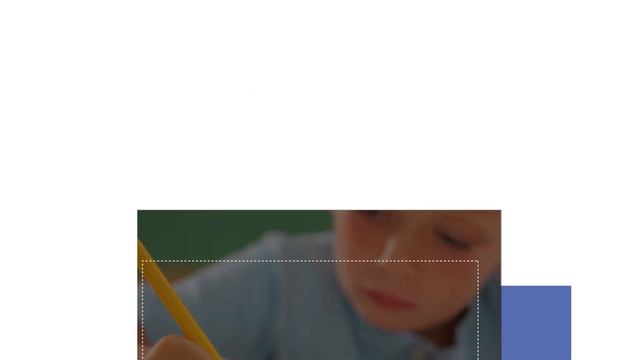 Защита прав потребителей в Ростовской области смотреть онлайн