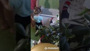 Помыть пуделя в домашних условиях - ЛЕГКО!!!