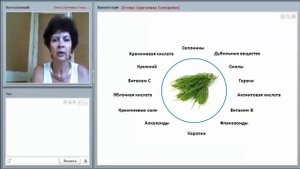 Хвощ полевой (врач Голешева Елена Сергеевна)