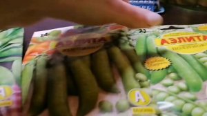Проверенные семена гороха сажаю их каждый год.