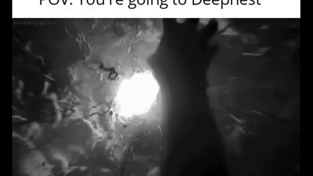 Hollow Knight Slander смотреть онлайн