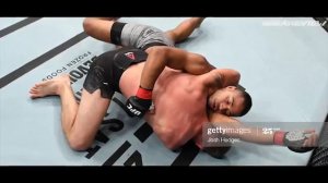 Бой без правил UFC