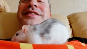 2018 - 09-15 крыса ест сыр