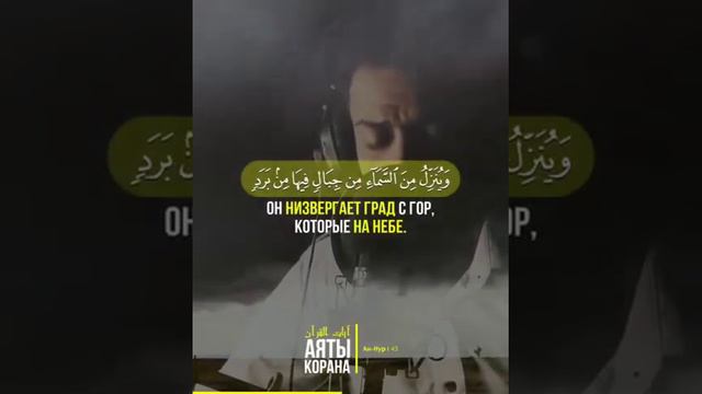 Ан-Нур
Sherif Mostafa | شريف مصطفي | @sherif.mostafa97