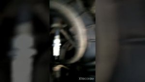 калина жрет масло .