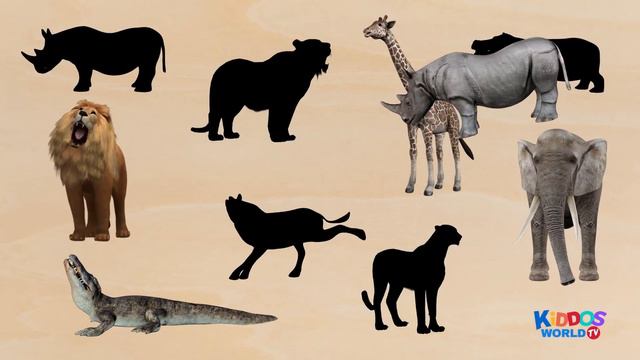 Learn Wild Animal Names And Animal Videos For Kids - Safari Animal Puzzle