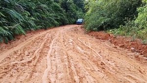 Toyota Rush off road