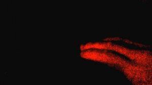 Проблема центрального замка Forester SG (Форестер СГ)